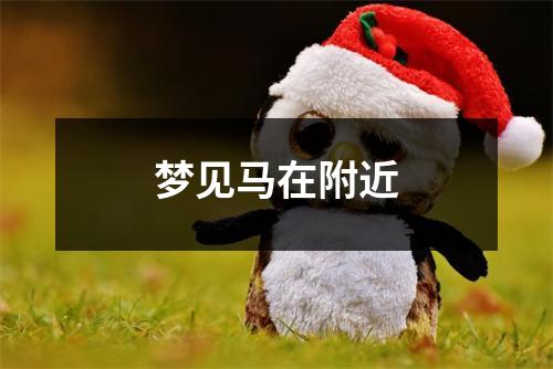 <h3>梦见马在附近