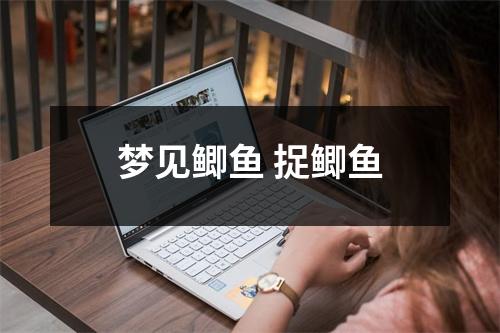 <h3>梦见鲫鱼捉鲫鱼