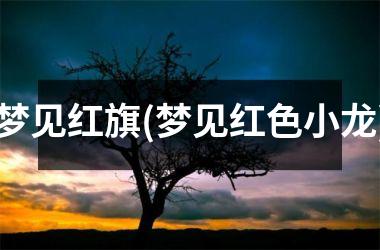 <h3>梦见红旗(梦见红色小龙)