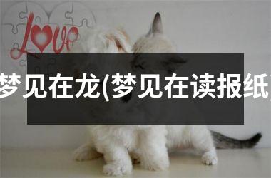 <h3>梦见在龙(梦见在读报纸)