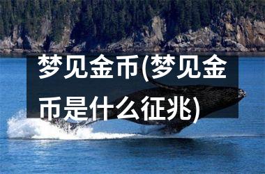 <h3>梦见金币(梦见金币是什么征兆)