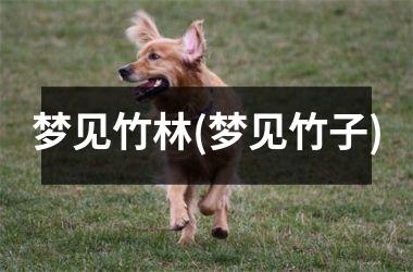 <h3>梦见竹林(梦见竹子)