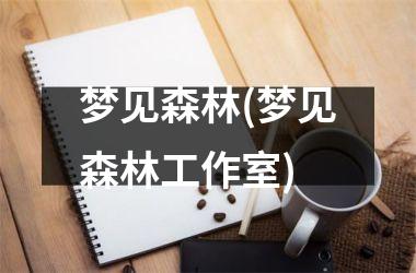 <h3>梦见森林(梦见森林工作室)
