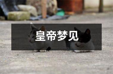 <h3>皇帝梦见