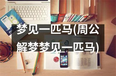 <h3>梦见一匹马(周公解梦梦见一匹马)