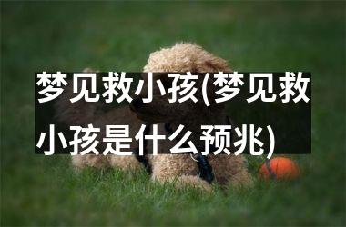 梦见救小孩(梦见救小孩是什么预兆)