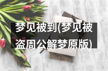 <h3>梦见被到(梦见被盗周公解梦原版)