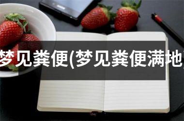 <h3>梦见粪便(梦见粪便满地)