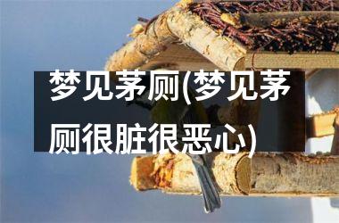 梦见茅厕(梦见茅厕很脏很恶心)