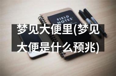 <h3>梦见大便里(梦见大便是什么预兆)