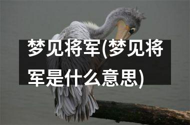 梦见将军(梦见将军是什么意思)