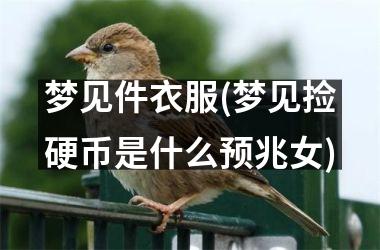<h3>梦见件衣服(梦见捡硬币是什么预兆女)
