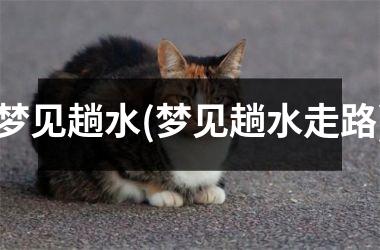 梦见趟水(梦见趟水走路)