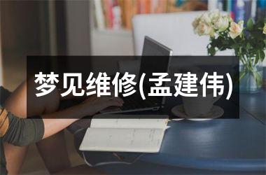 <h3>梦见维修(孟建伟)