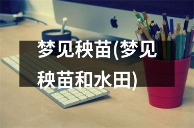 <h3>梦见秧苗(梦见秧苗和水田)