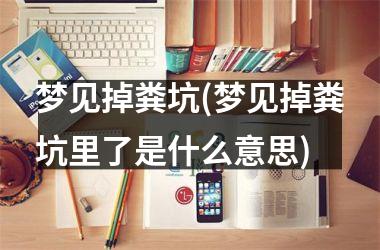 <h3>梦见掉粪坑(梦见掉粪坑里了是什么意思)