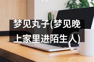 <h3>梦见丸子(梦见晚上家里进陌生人)