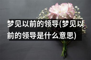 <h3>梦见以前的领导(梦见以前的领导是什么意思)