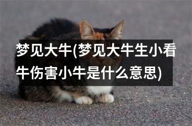<h3>梦见大牛(梦见大牛生小看牛伤害小牛是什么意思)