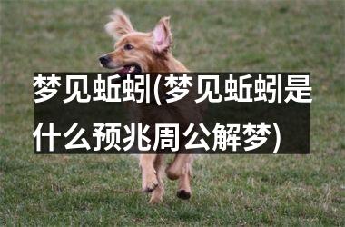 梦见蚯蚓(梦见蚯蚓是什么预兆周公解梦)