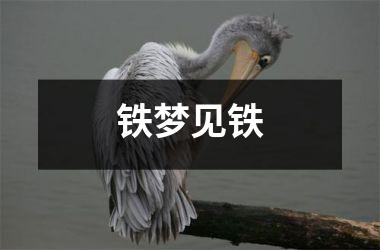 <h3>铁梦见铁