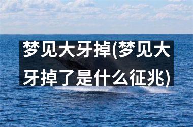 <h3>梦见大牙掉(梦见大牙掉了是什么征兆)