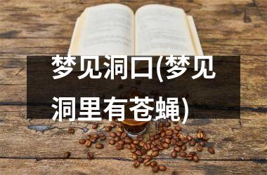 <h3>梦见洞口(梦见洞里有苍蝇)