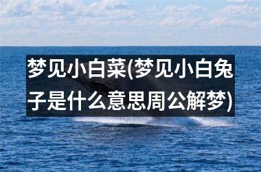 <h3>梦见小白菜(梦见小白兔子是什么意思周公解梦)