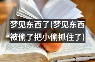 <h3>梦见东西了(梦见东西被偷了把小偷抓住了)