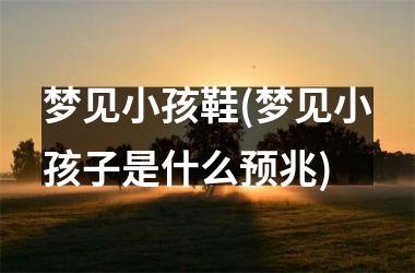 <h3>梦见小孩鞋(梦见小孩子是什么预兆)