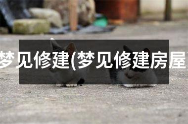 梦见修建(梦见修建房屋)