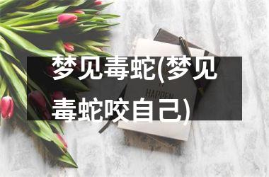 梦见毒蛇(梦见毒蛇咬自己)