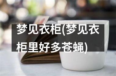 <h3>梦见衣柜(梦见衣柜里好多苍蝇)