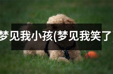 <h3>梦见我小孩(梦见我笑了)