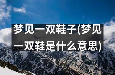 梦见一双鞋子(梦见一双鞋是什么意思)