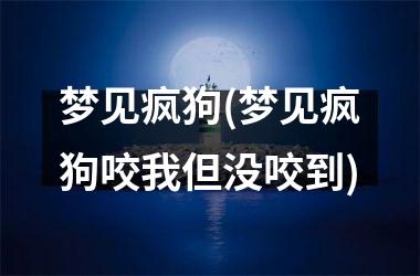 <h3>梦见疯狗(梦见疯狗咬我但没咬到)