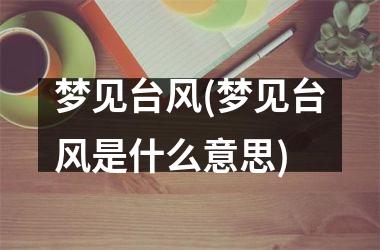 <h3>梦见台风(梦见台风是什么意思)