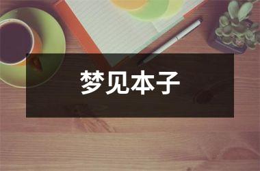<h3>梦见本子