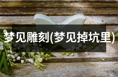 <h3>梦见雕刻(梦见掉坑里)