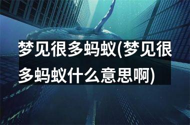 梦见很多蚂蚁(梦见很多蚂蚁什么意思啊)