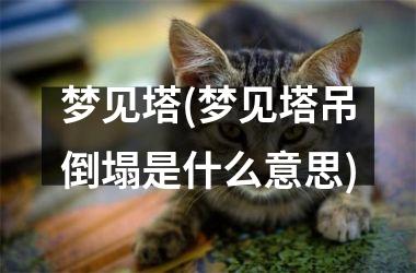 <h3>梦见塔(梦见塔吊倒塌是什么意思)