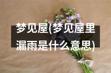 <h3>梦见屋(梦见屋里漏雨是什么意思)