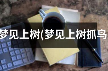 梦见上树(梦见上树抓鸟)