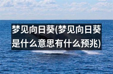 <h3>梦见向日葵(梦见向日葵是什么意思有什么预兆)