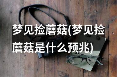 梦见捡蘑菇(梦见捡蘑菇是什么预兆)