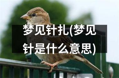 梦见针扎(梦见针是什么意思)