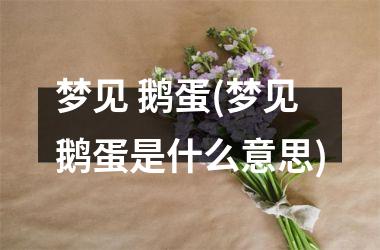 <h3>梦见 鹅蛋(梦见鹅蛋是什么意思)