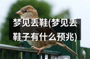 <h3>梦见丢鞋(梦见丢鞋子有什么预兆)