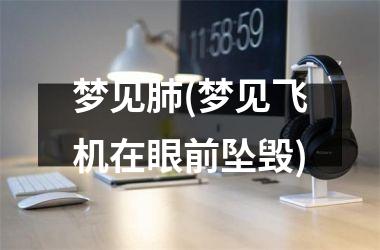 梦见肺(梦见飞机在眼前坠毁)