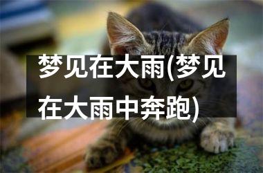 <h3>梦见在大雨(梦见在大雨中奔跑)